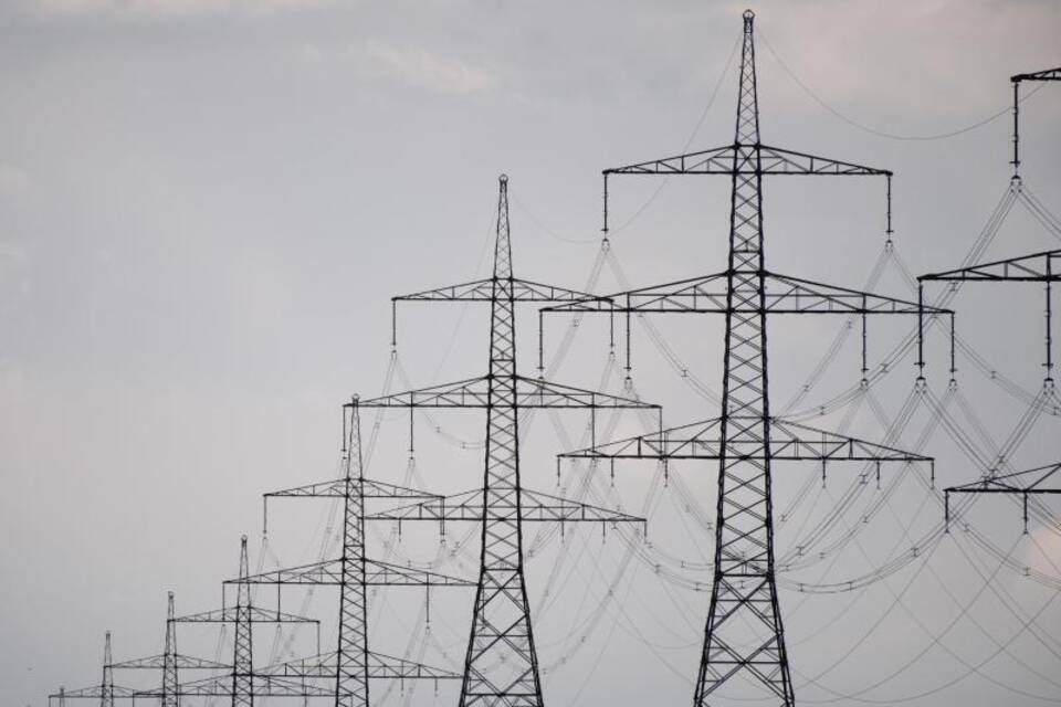 Schleppender Ausbau der Stromnetze Schleppender Ausbau der Stromnetze