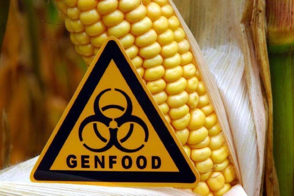 «Genfood» «Genfood»