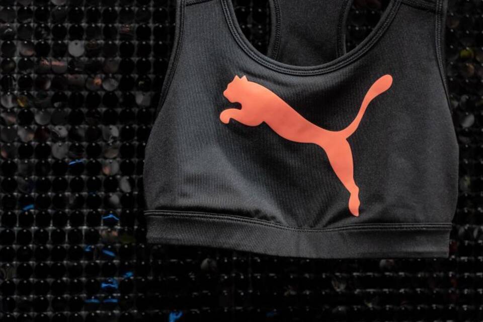 Puma Puma