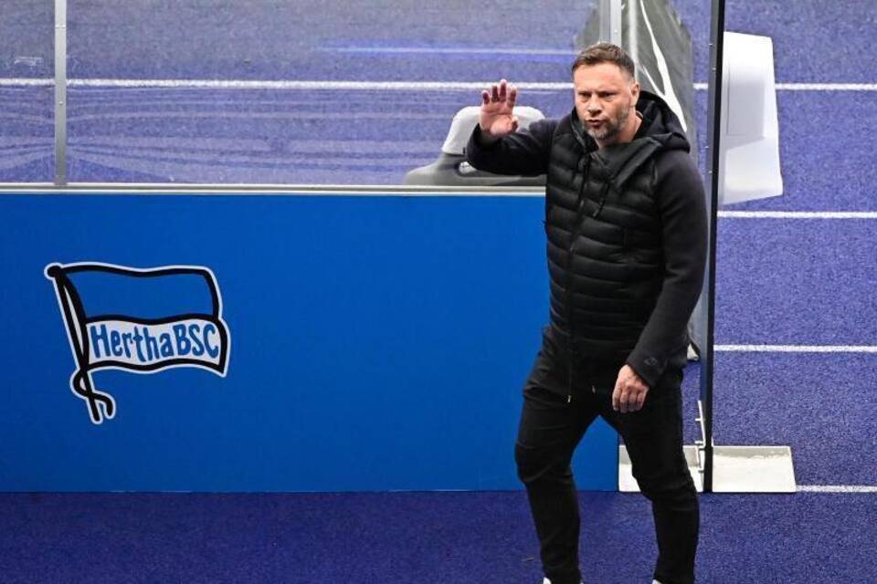 Pal Dardai Pal Dardai
