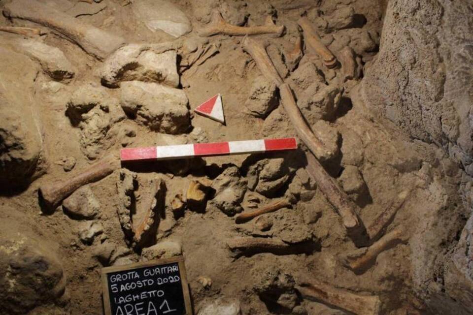 Spektakuläre Neanderthaler-Funde