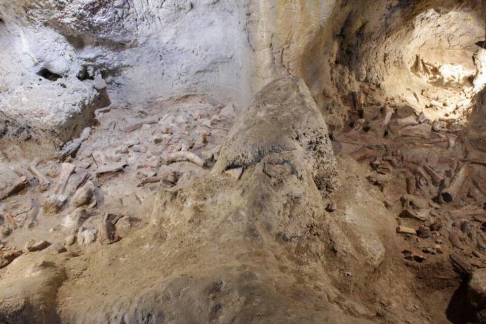 Neandertaler-Überreste Neandertaler-Überreste
