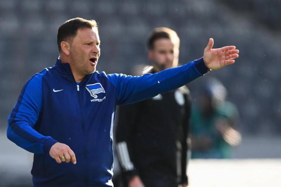 Pal Dardai Pal Dardai