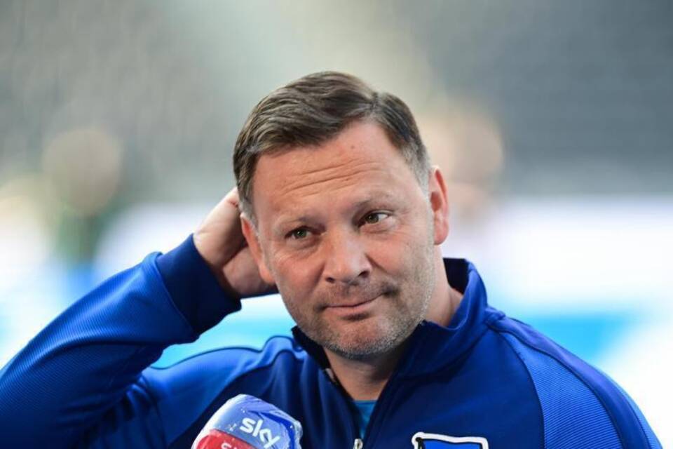 Pal Dardai Pal Dardai