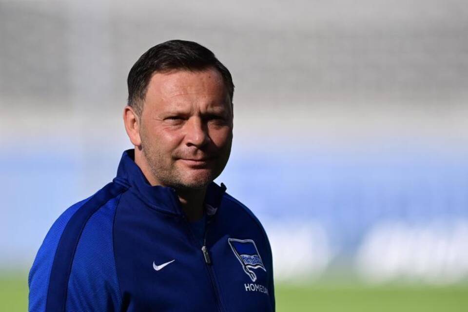 Pal Dardai Pal Dardai