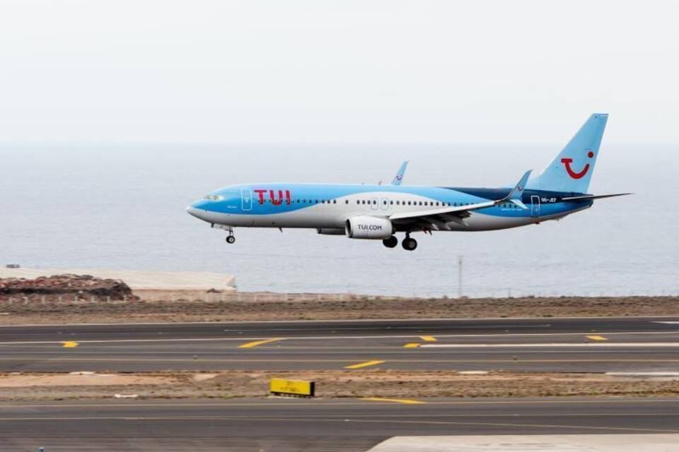 Tui Tui