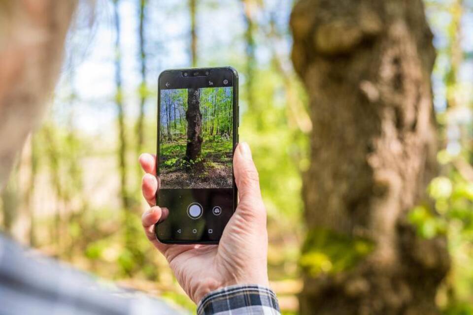 Natur-App Natur-App