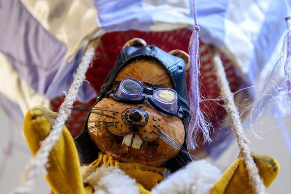 Hamster Timmi Hamster Timmi