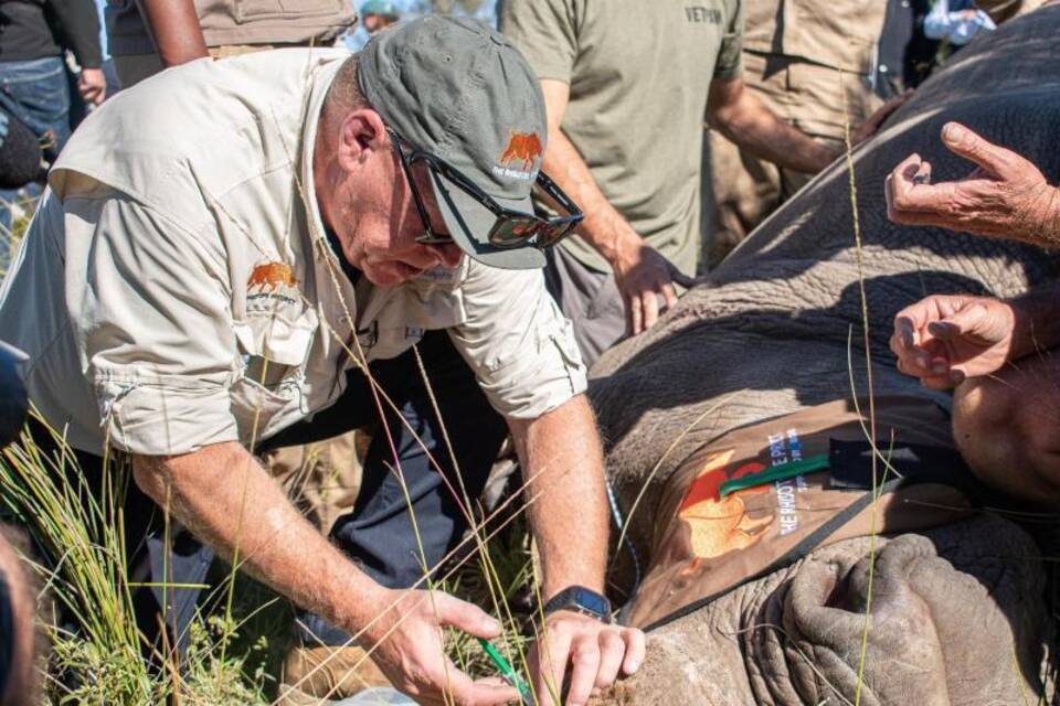 Kampf gegen Nashorn-Wilderer