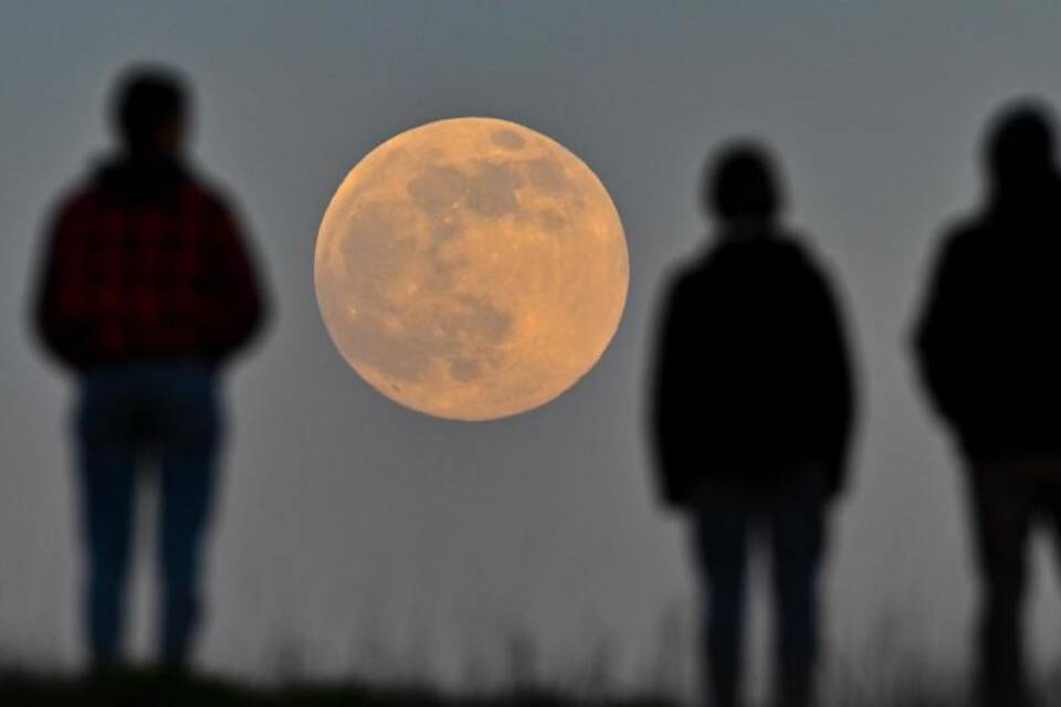 Mond Mond