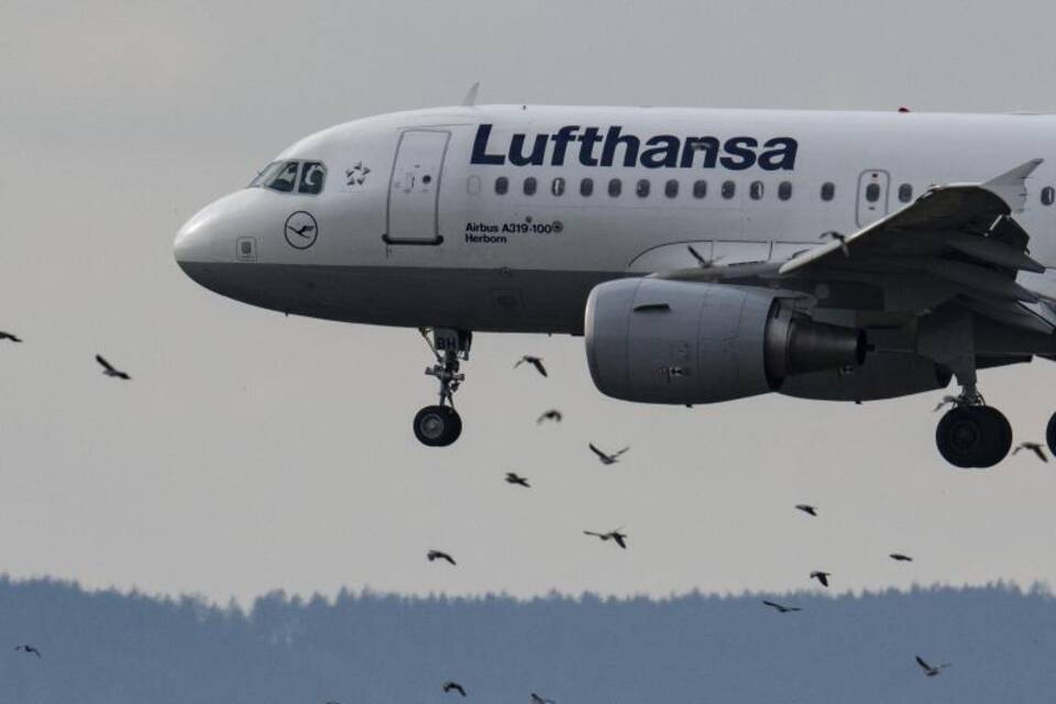 Lufthansa