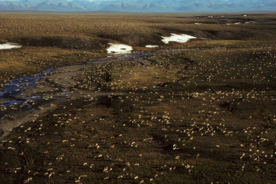 Arctic National Wildlife Refuge Arctic National Wildlife Refuge