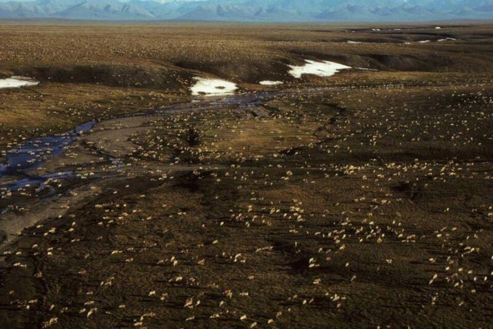 Arctic National Wildlife Refuge