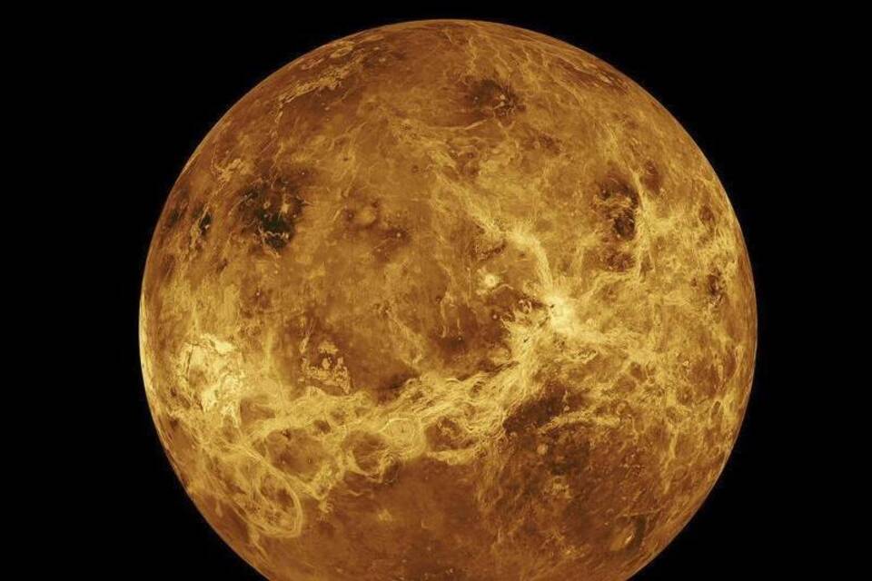 Venus Venus