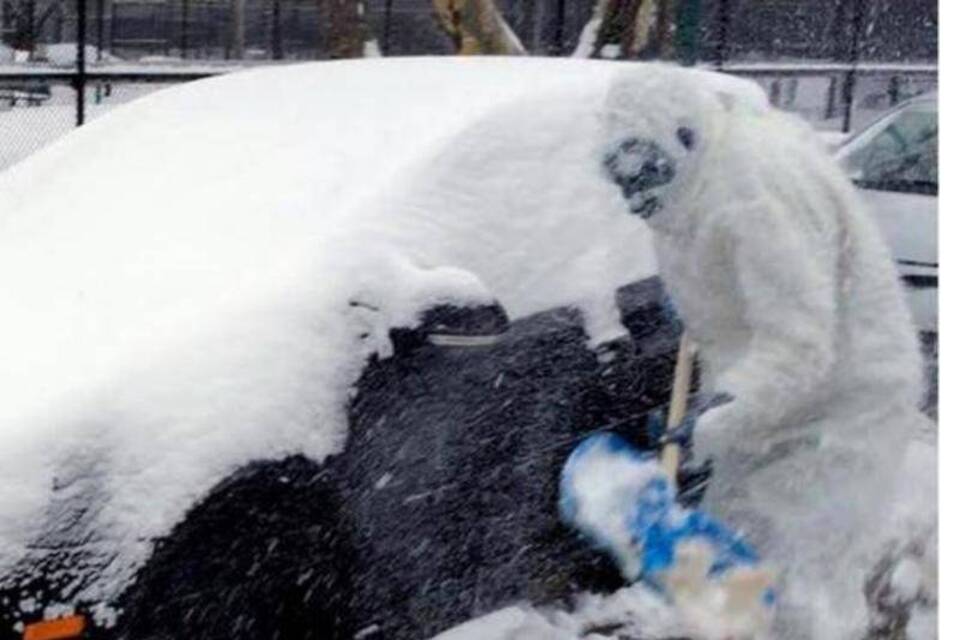 «Boston-Yeti»