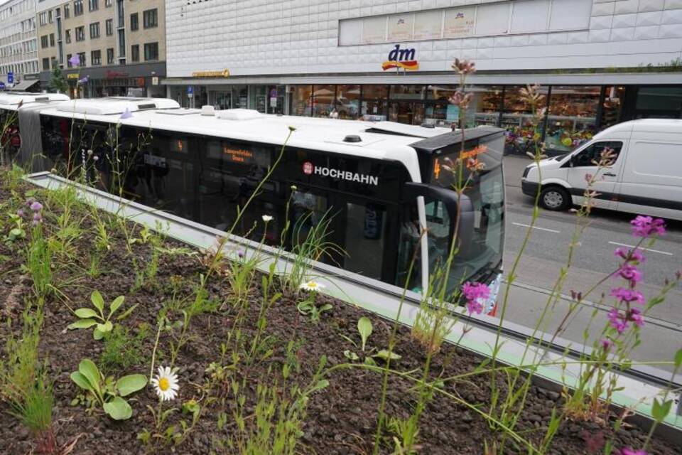 Blumen auf Wartehäuschen