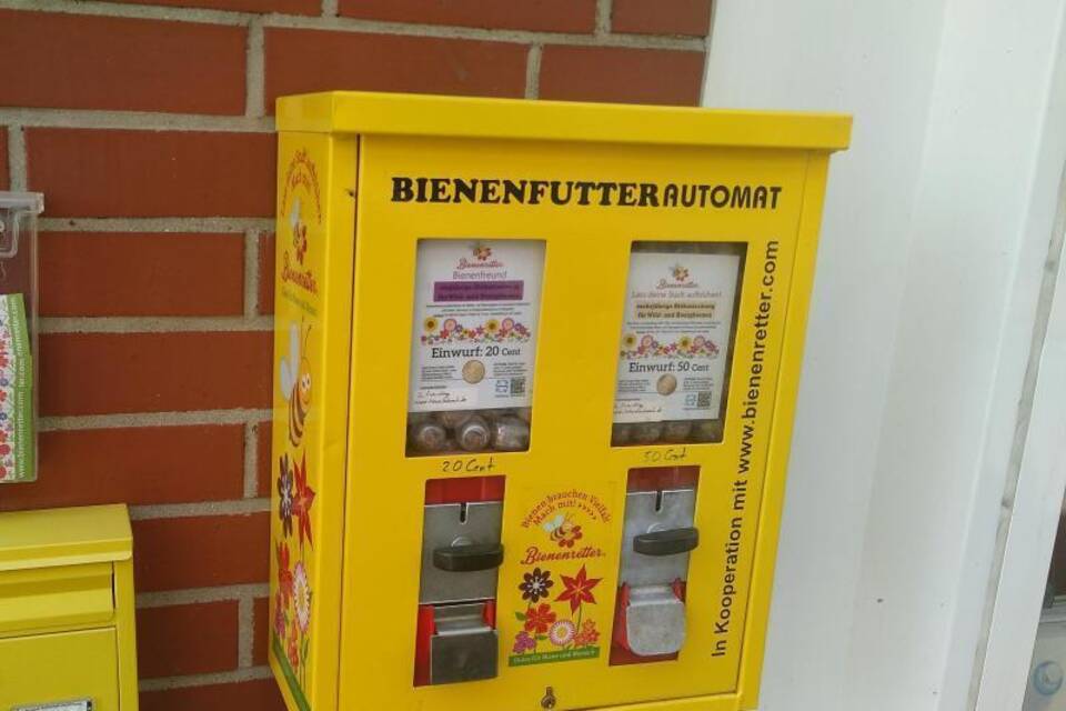 Bienenrettung aus dem Automaten Bienenrettung aus dem Automaten