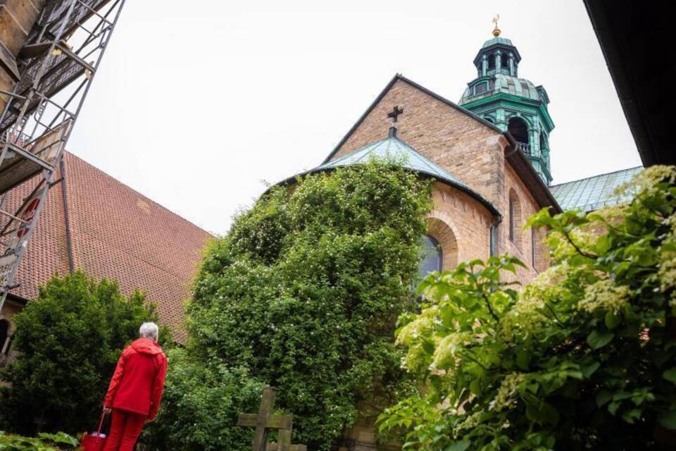 Rosenstock Hildesheim Rosenstock Hildesheim