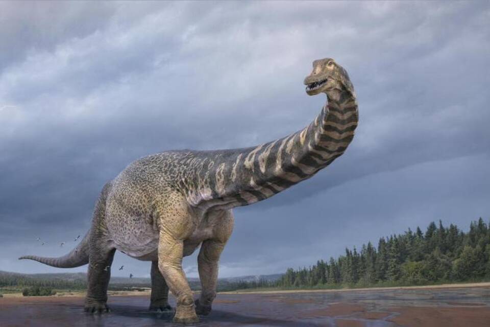 Dino-Riese Dino-Riese