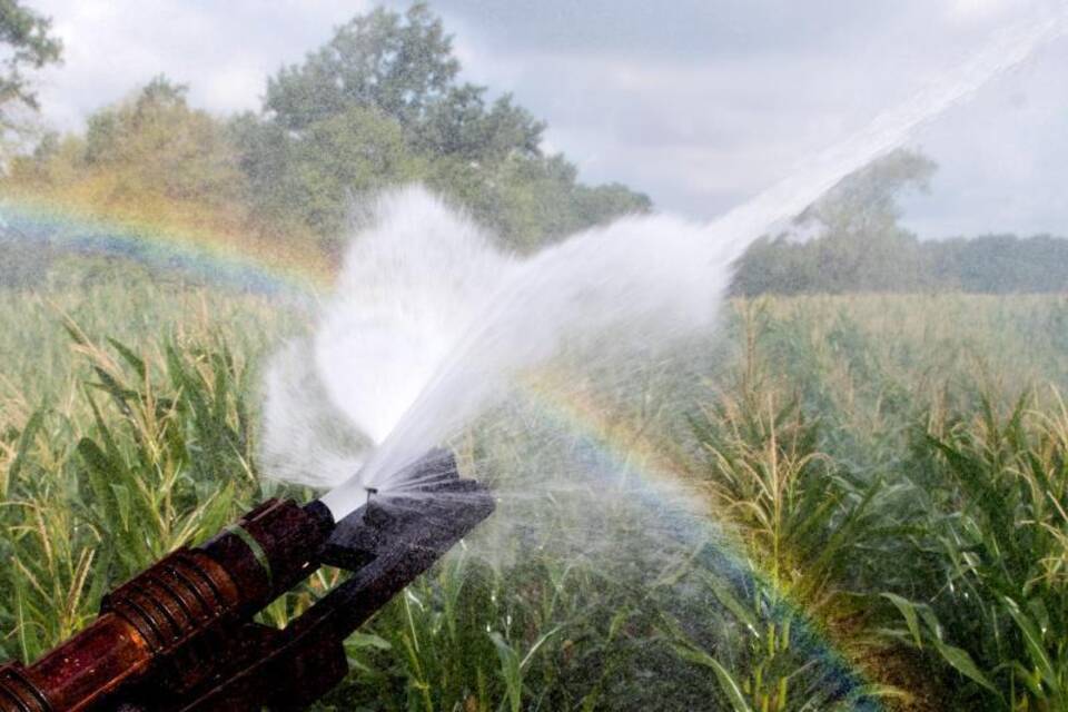 Nationale Wasserstrategie