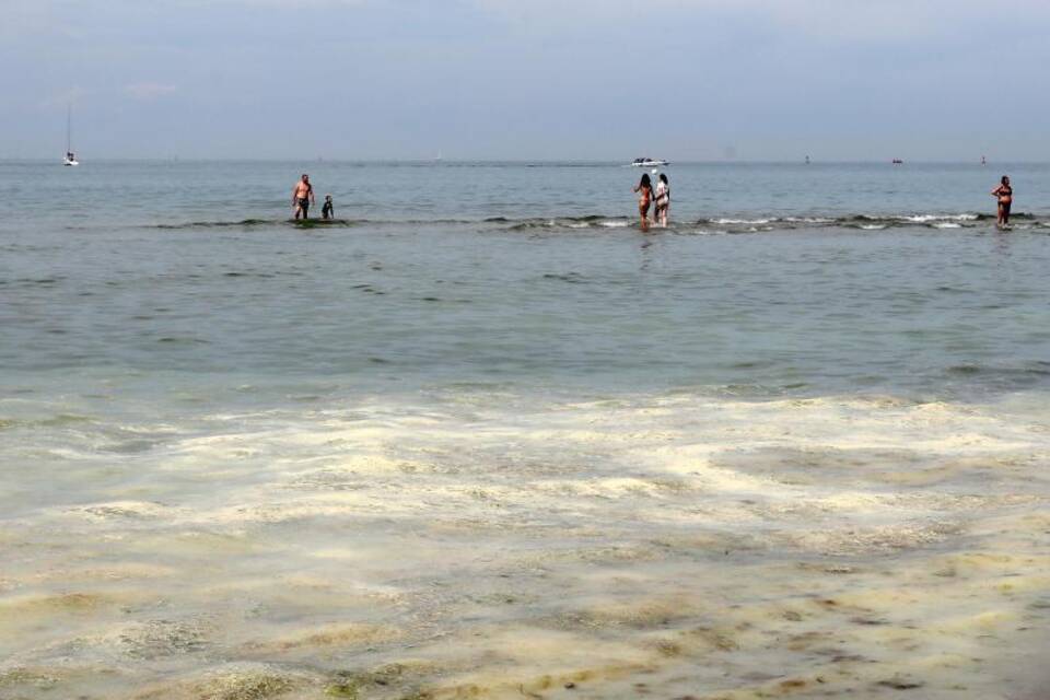 Pollen im Meer