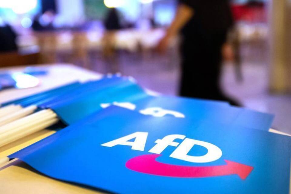 AfD-Fähnchen