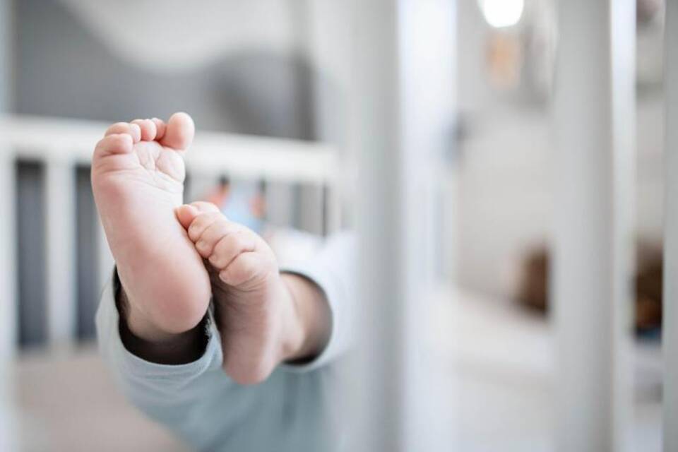Geburtenzahlen Geburtenzahlen