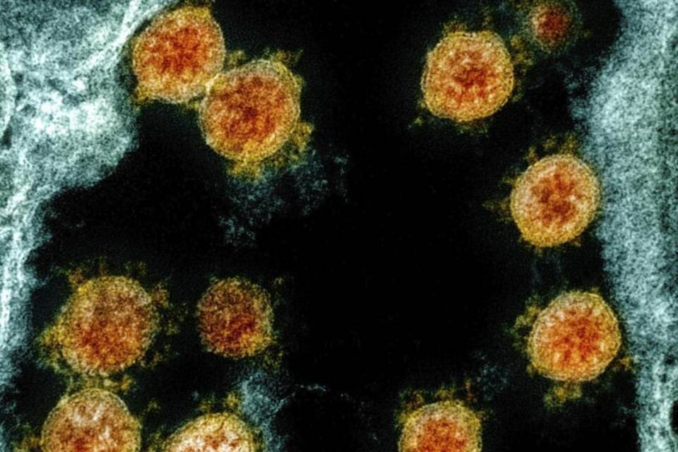 Coronavirus