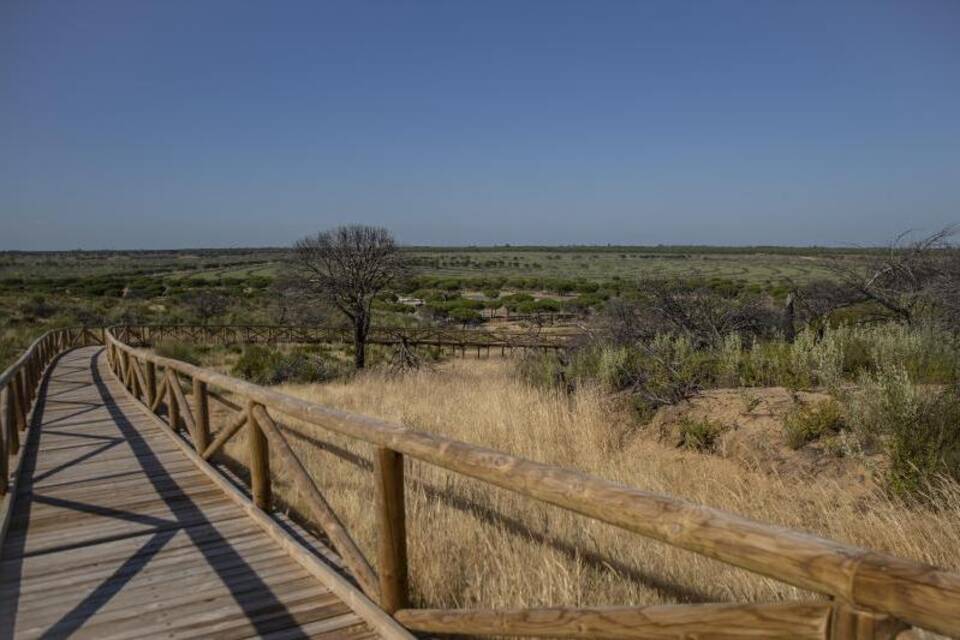 Spanien muss von Erdbeeren bedrohtes Naturparadies schützen Spanien muss von Erdbeeren bedrohtes Naturparadies schützen