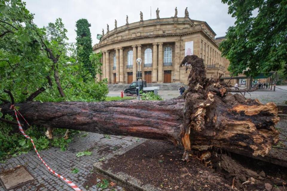 Unwetter-Schäden