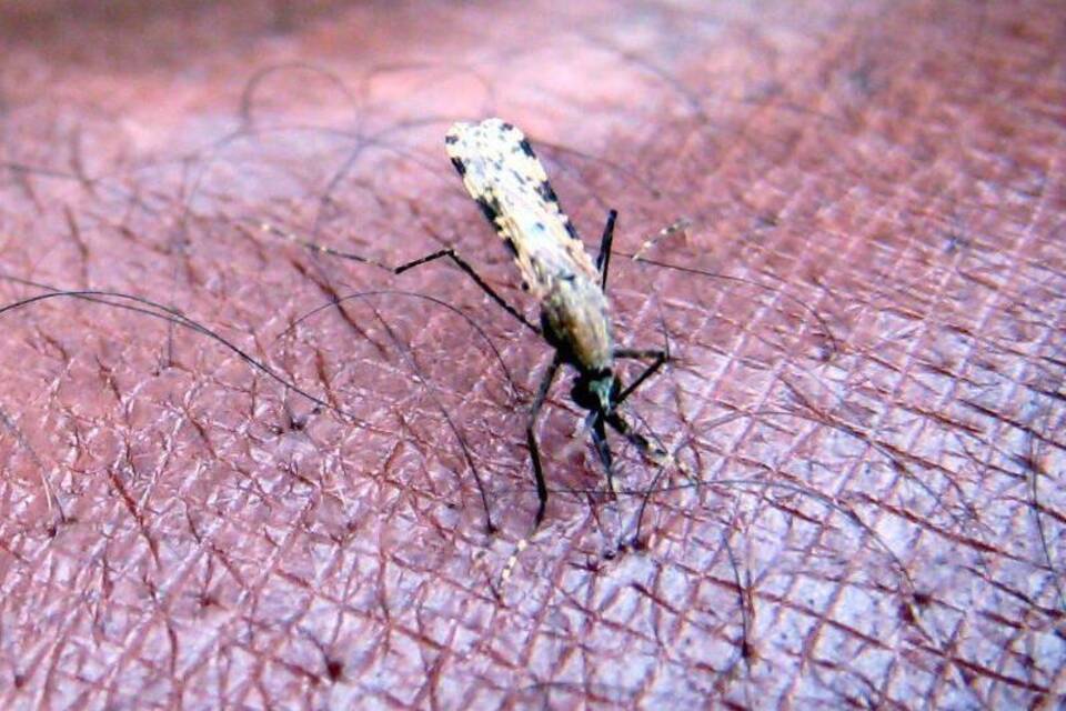 China frei von Malaria