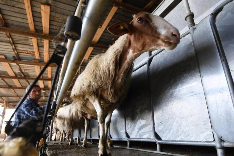Landwirtschaft in Italien Landwirtschaft in Italien