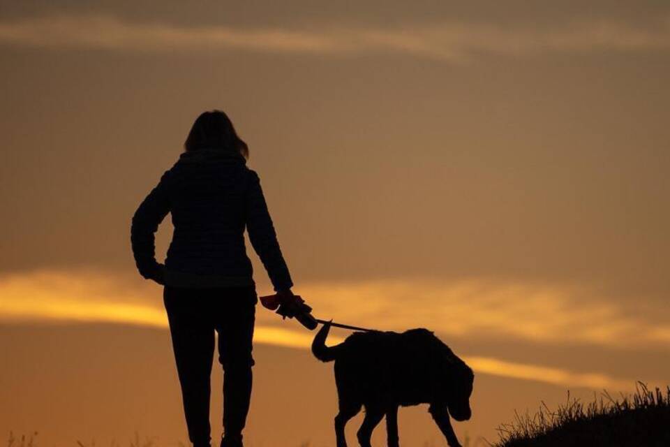 Frauchen mit Hund Frauchen mit Hund