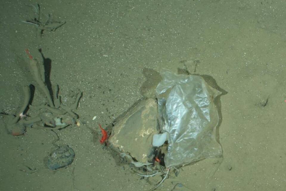 Plastiktüte Plastiktüte