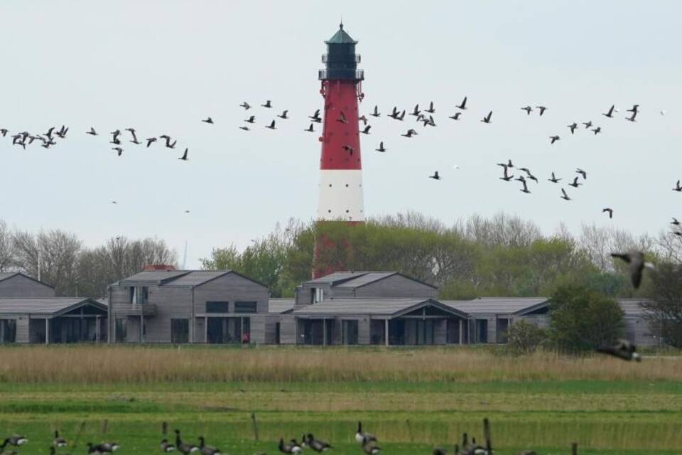 Insel Pellworm Insel Pellworm