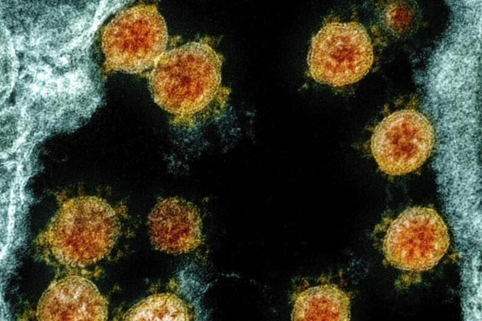 Coronavirus