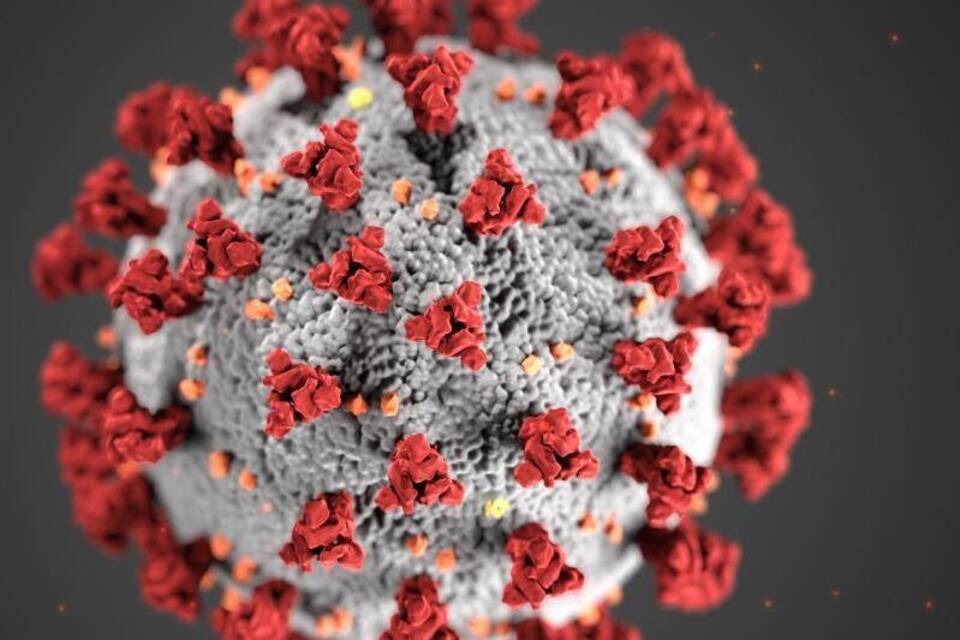 Coronavirus Coronavirus