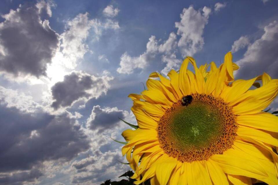 Wetter Wetter