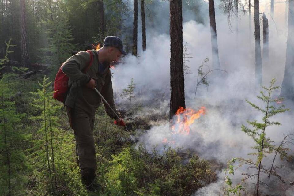 Waldbrände in Russland