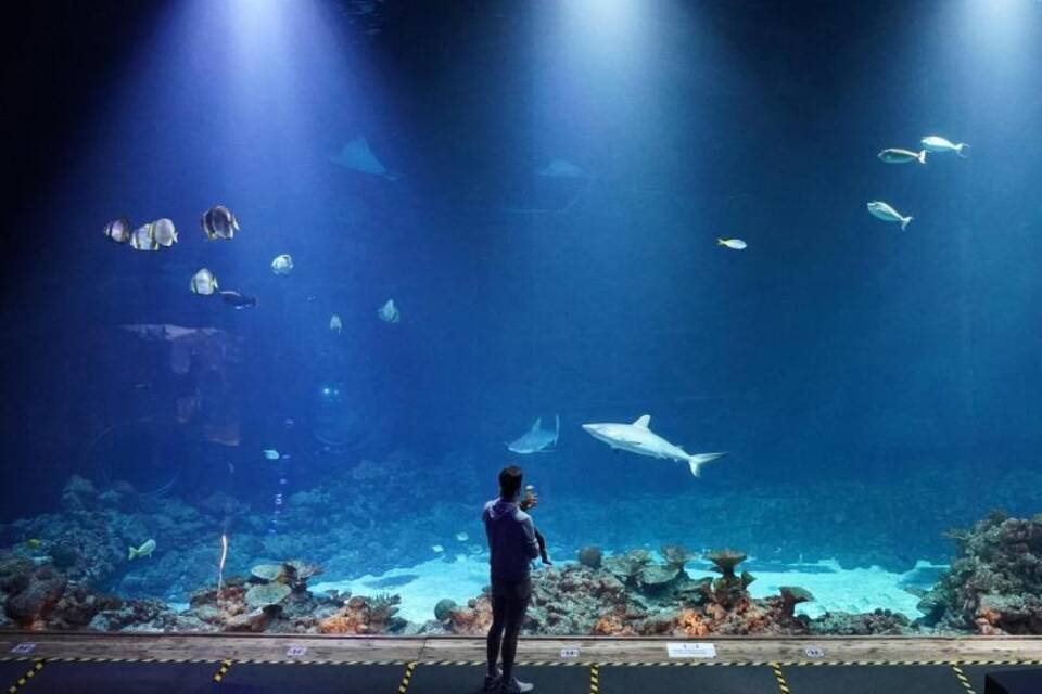 Aquarium im Tierpark Hagenbeck