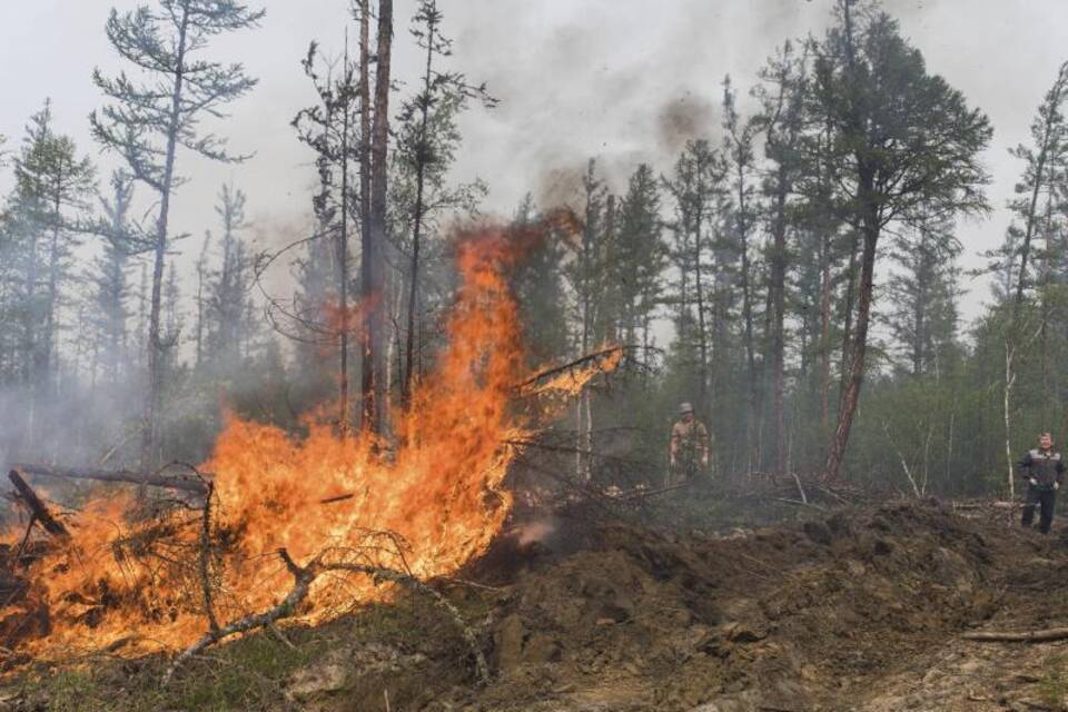 Waldbrand Waldbrand