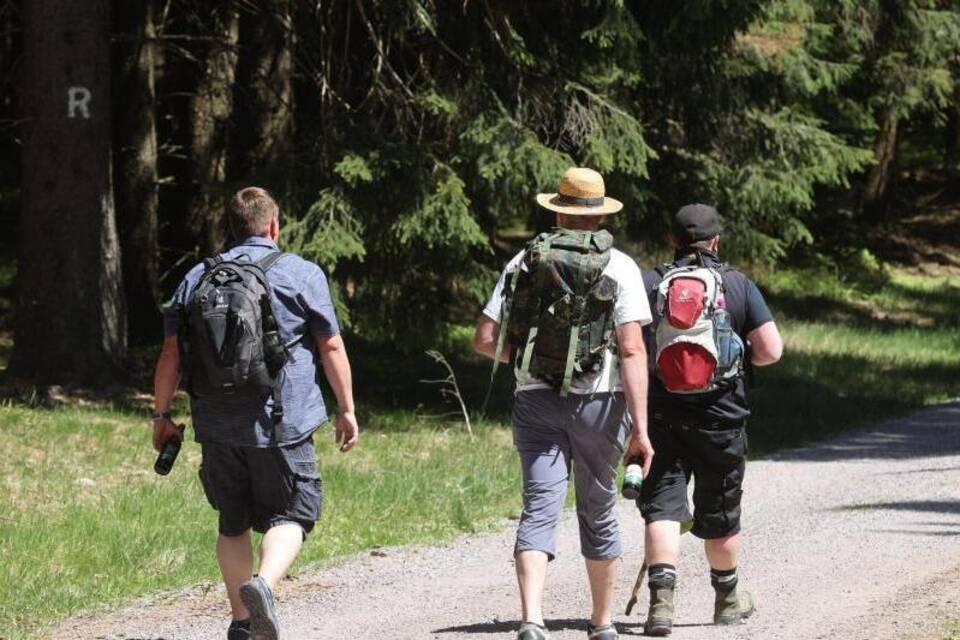 Wandern als Trend