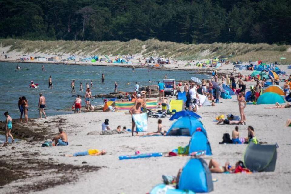 Warnung vor Vibrionen in Ostsee