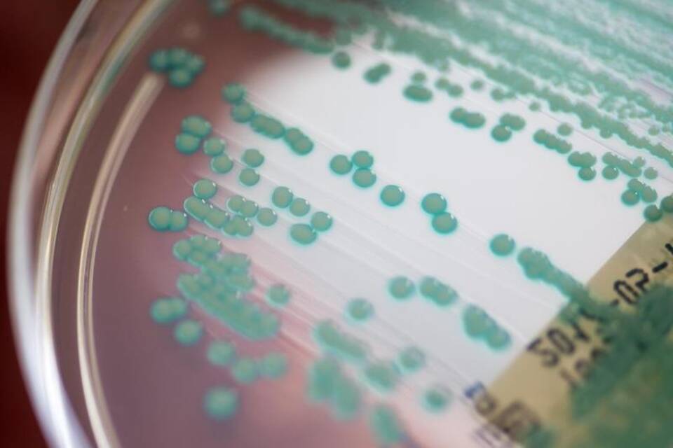 Multiresistente Keime