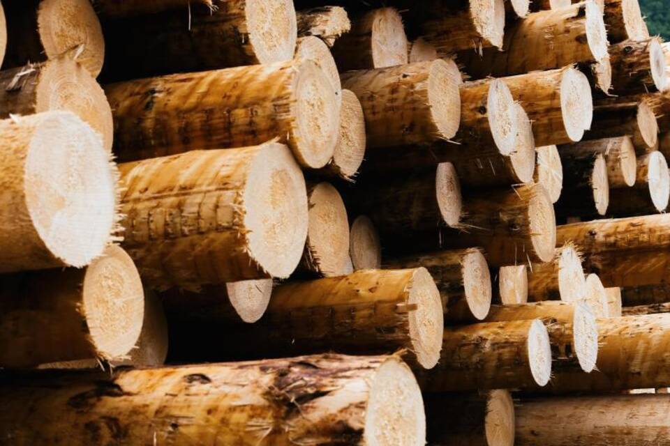 Holz Holz