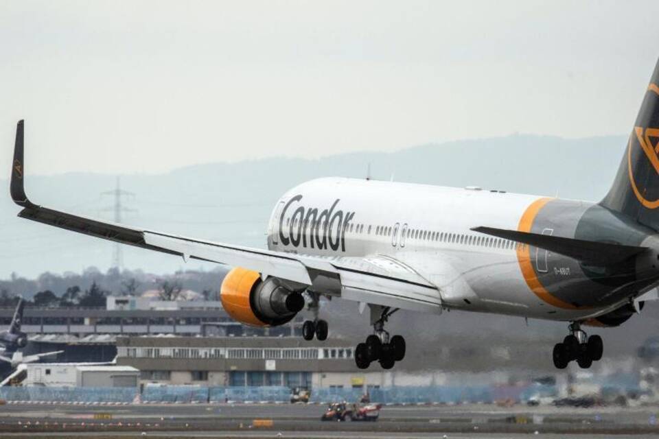 Condor Condor
