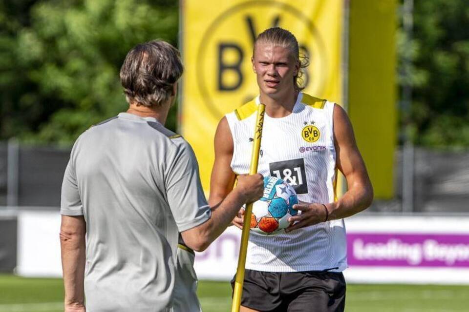 BVB-Starstürmer BVB-Starstürmer