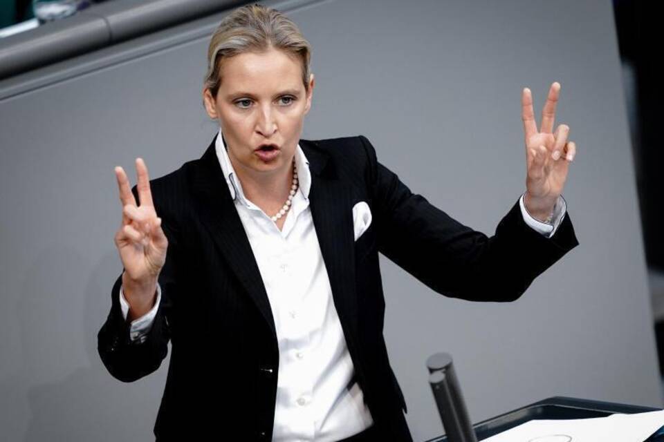 AfD-Fraktionsvorsitzende Weidel AfD-Fraktionsvorsitzende Weidel