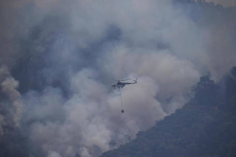 Waldbrände in der Türkei Waldbrände in der Türkei