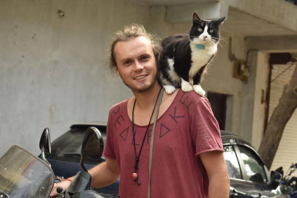 Klauka mit Katze Klauka mit Katze